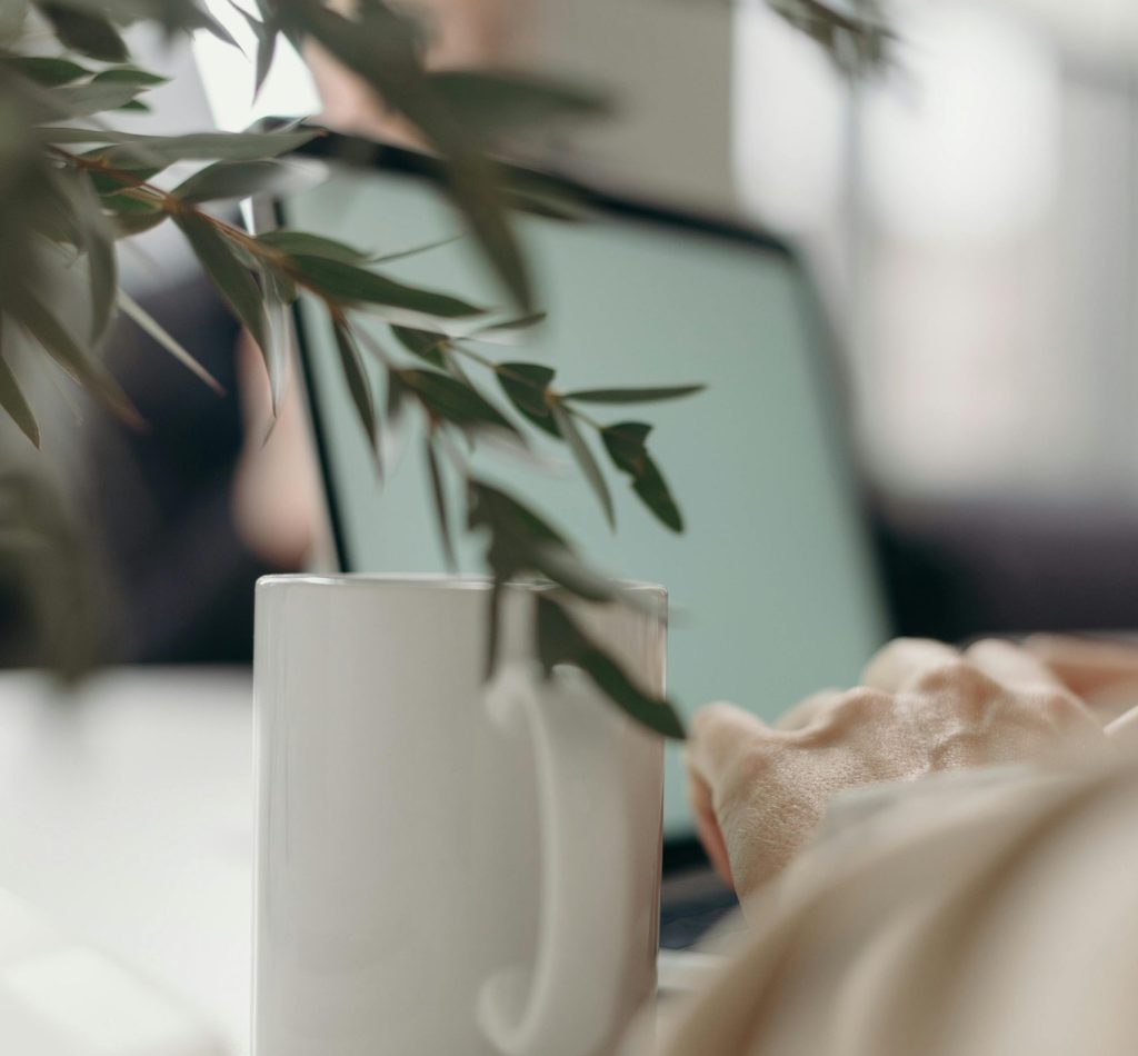 A calm home office scene with a white ceramic mug, computer laptop, and green leaves.